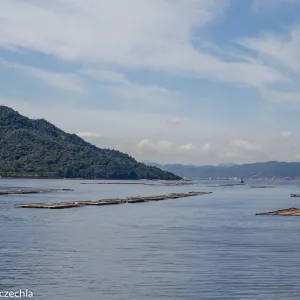 Akwakultury na zatoce Hiroshimy