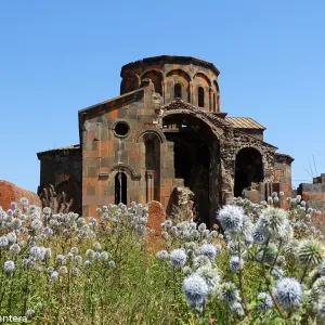 Ruiny katedry w Talinie