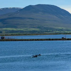 Islandia, Akureyri